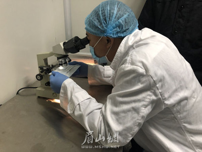 我市兩家醫療用品生產企業開足馬力保供應，承諾口罩等防護產品不漲價